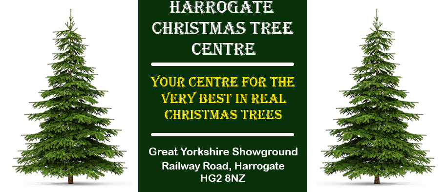 Harrogate Christmas Tree Centre